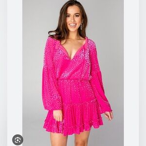 BuddyLove Zozo Mini Dress - Hot Pink Velvet